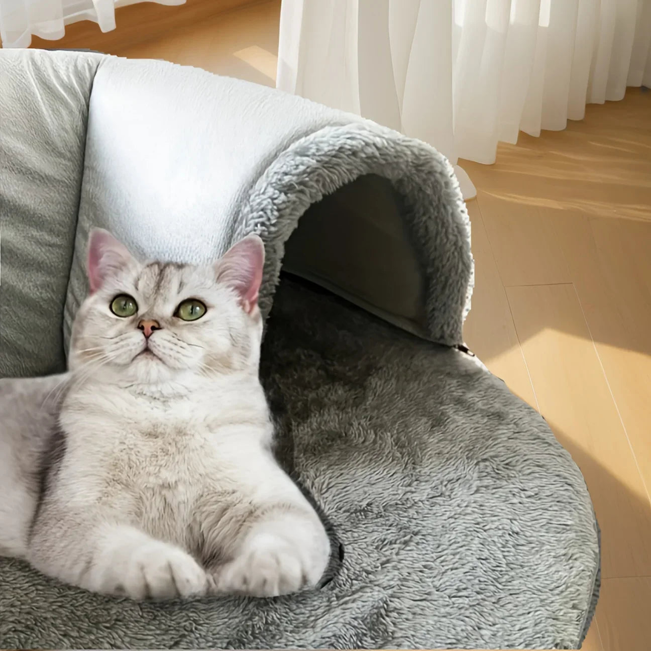 Nid Tunnel Douillet Confortable Chat